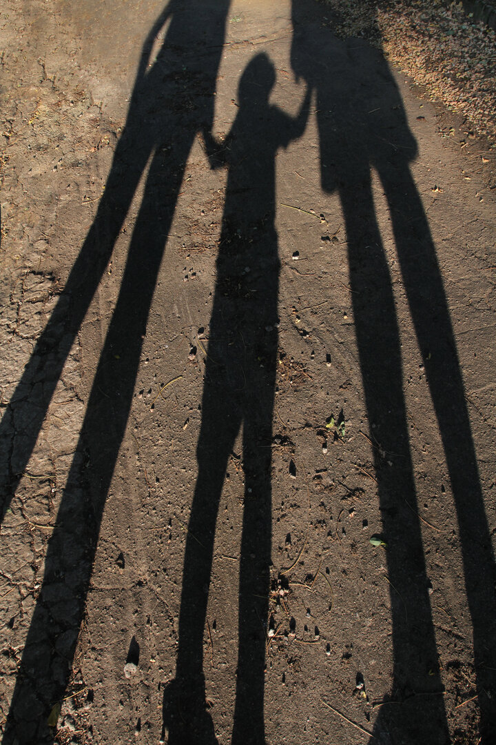 family of three long shadows